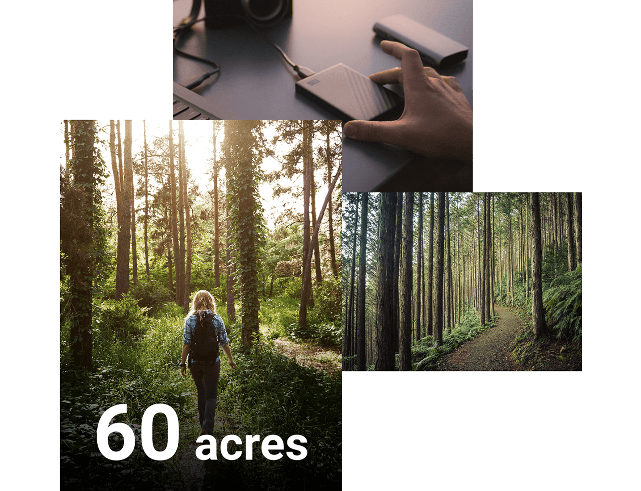 60 acres of trees saved